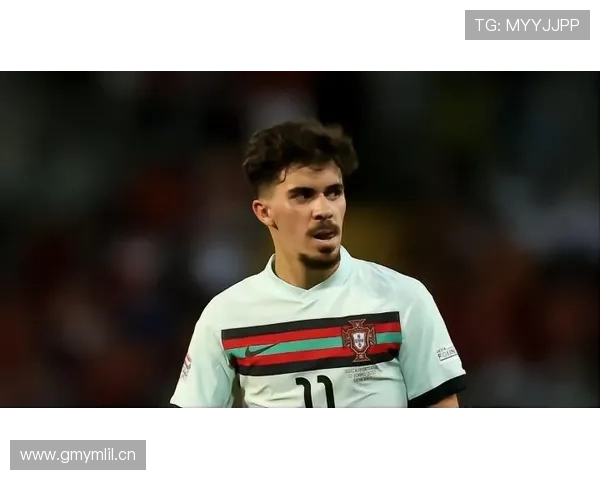 维蒂尼亚：技术全面还是风格受限？天赋与上限解析