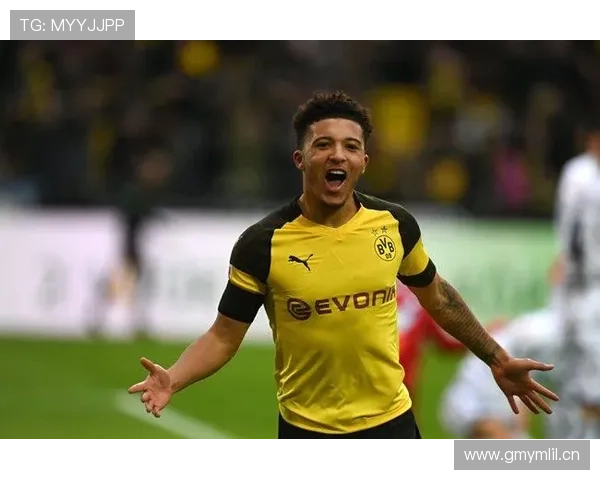 桑乔与理查利森策动性转移呈现体系分配趋势